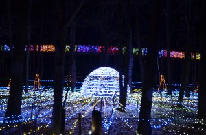 illumination@あづみの公園02